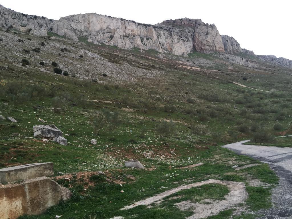 Hotel Antequera Rural Fortes La Nuit Mollina Zewnętrze zdjęcie